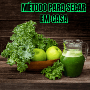 Receitas fitness